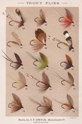 ANTIQUE PRINT OF FISHING FLIES FROM 1885